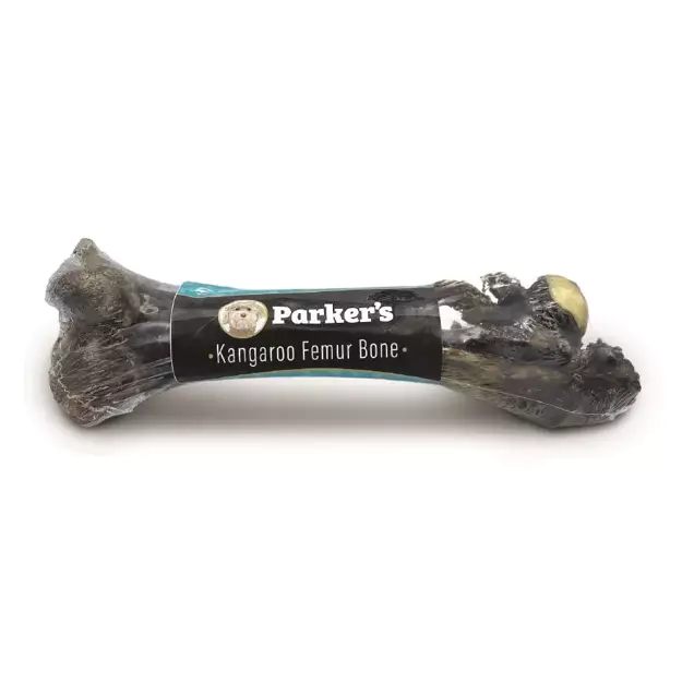 Parker's Kangaroo Femur Bone
