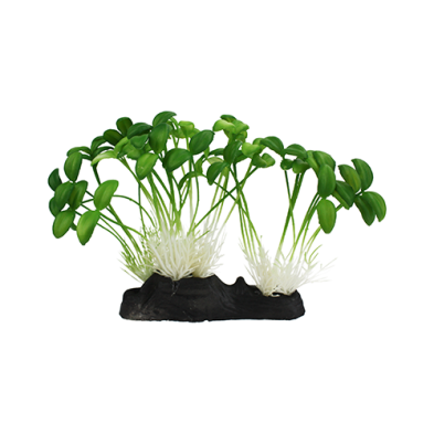Komodo® Sprouts Plant Decoration