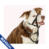 Company of Animals Halti Headcollar
