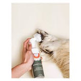 Dandylion Clean Paws No-Rinse Foaming Cleanser