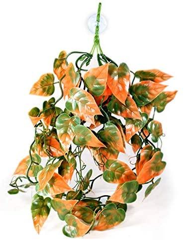 Pangea Plants - Orange Plant