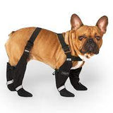 Canada Pooch® Suspender Boots - Short
