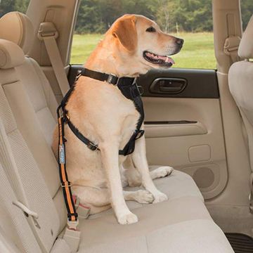 Kurgo Direct To Seatbelt Swivel Tether for Dogs