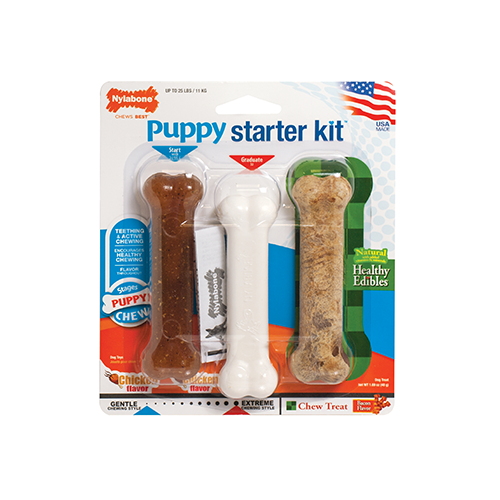 Puppy starter kit nylabone online