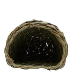 Living World Hangout Grass Hut