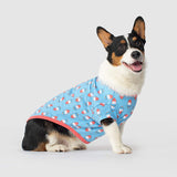 Canada Pooch Follow Me Tee