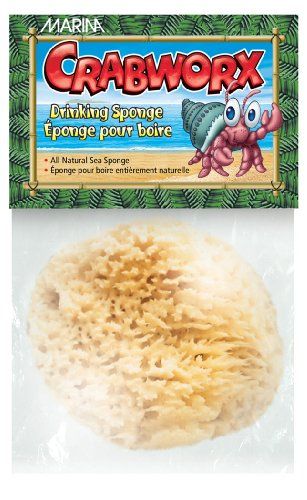 Crabworx Drinking Sponge