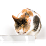 Catit 2.0 Double Food Dish