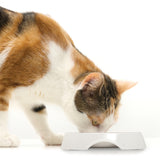 Catit 2.0 Double Food Dish