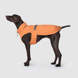 Canada Pooch Expedition Raincoat
