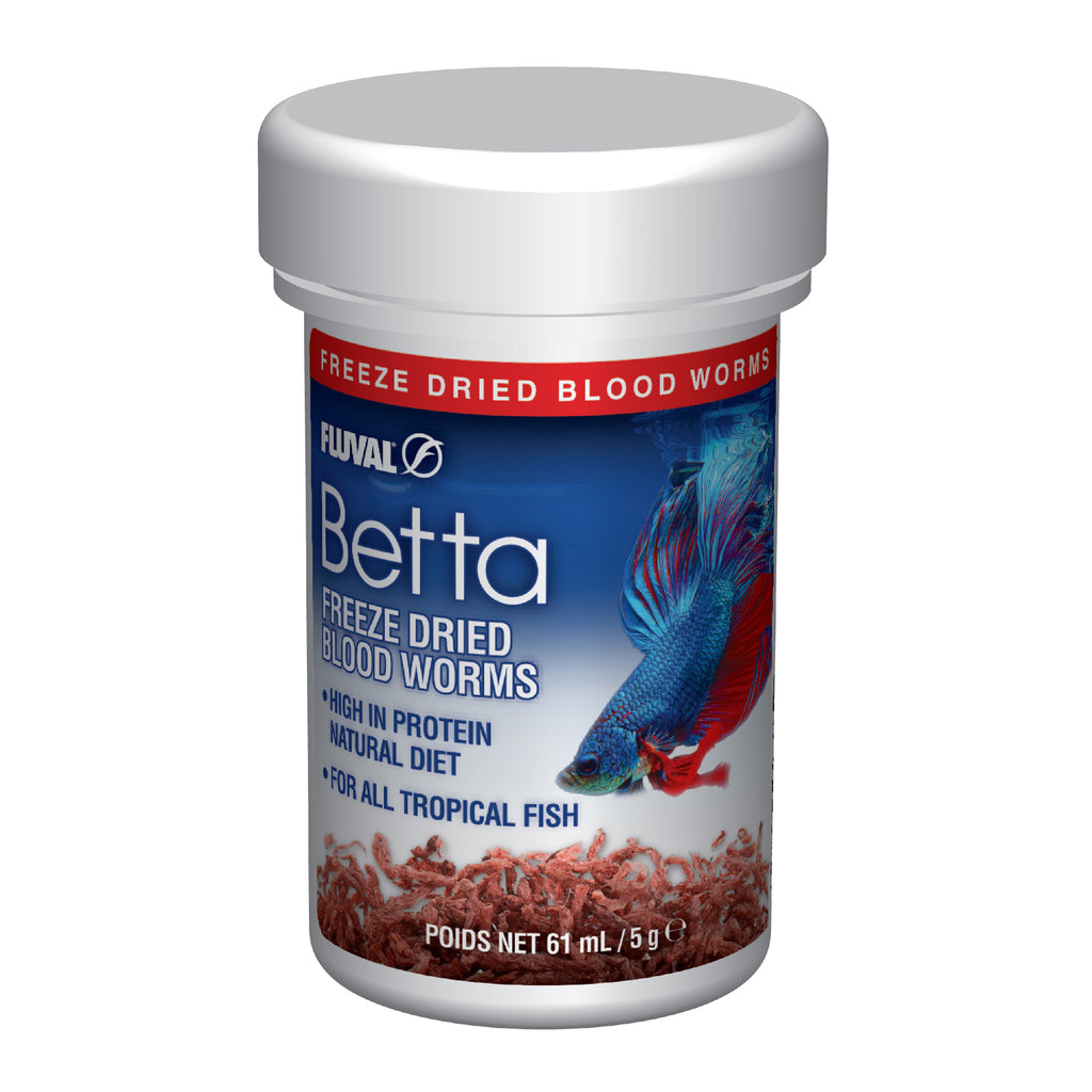 Fluval Betta Blood Worms – Pet Circus