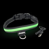 Energizer LED Dog Collar