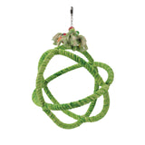 HARI Smart Play Rope Orbiter Perch n Swing Parrot Toy