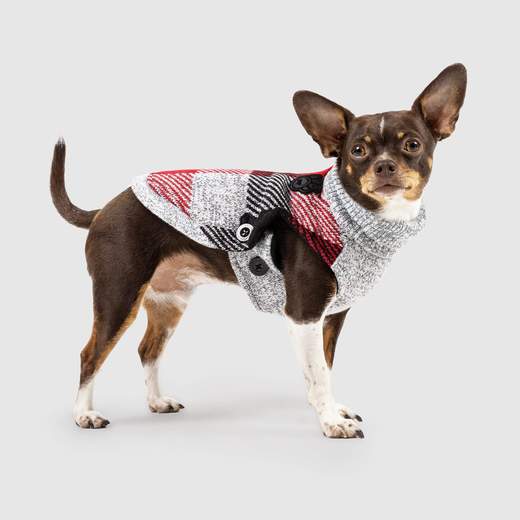 Canada Pooch Northern Knit 2.0 Dog Sweater