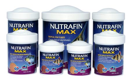 Nutrafin max tropical fish sales flakes