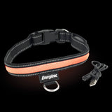 Energizer LED Dog Collar