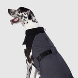 Canada Pooch Expedition Coat