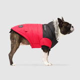 Canada Pooch True North Parka
