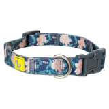BeOneBreed Silicone Dog Collar