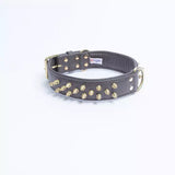 Angel Amsterdam Spiked Dog Collar