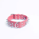Angel Amsterdam Spiked Dog Collar