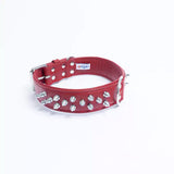 Angel Amsterdam Spiked Dog Collar