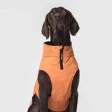 Canada Pooch Expedition Raincoat