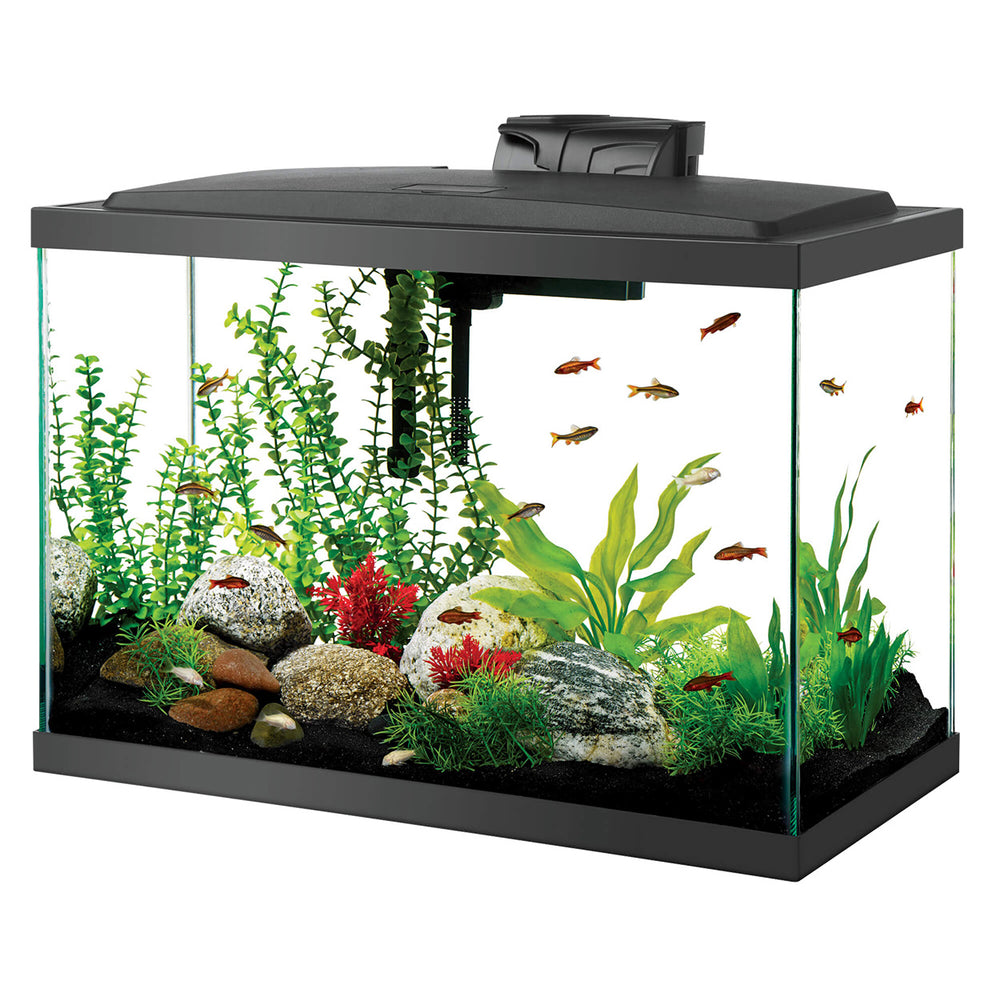 Aqueon LED Aquarium Starter Kit