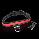 Energizer LED Dog Collar