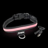 Energizer LED Dog Collar