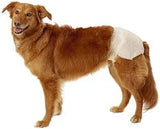 Dogit Clean Disposable Diapers 12 pk.