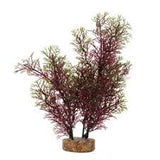 Fluval Aqualife Red Green Foxtail