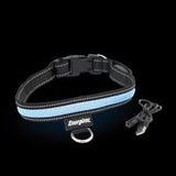 Energizer LED Dog Collar