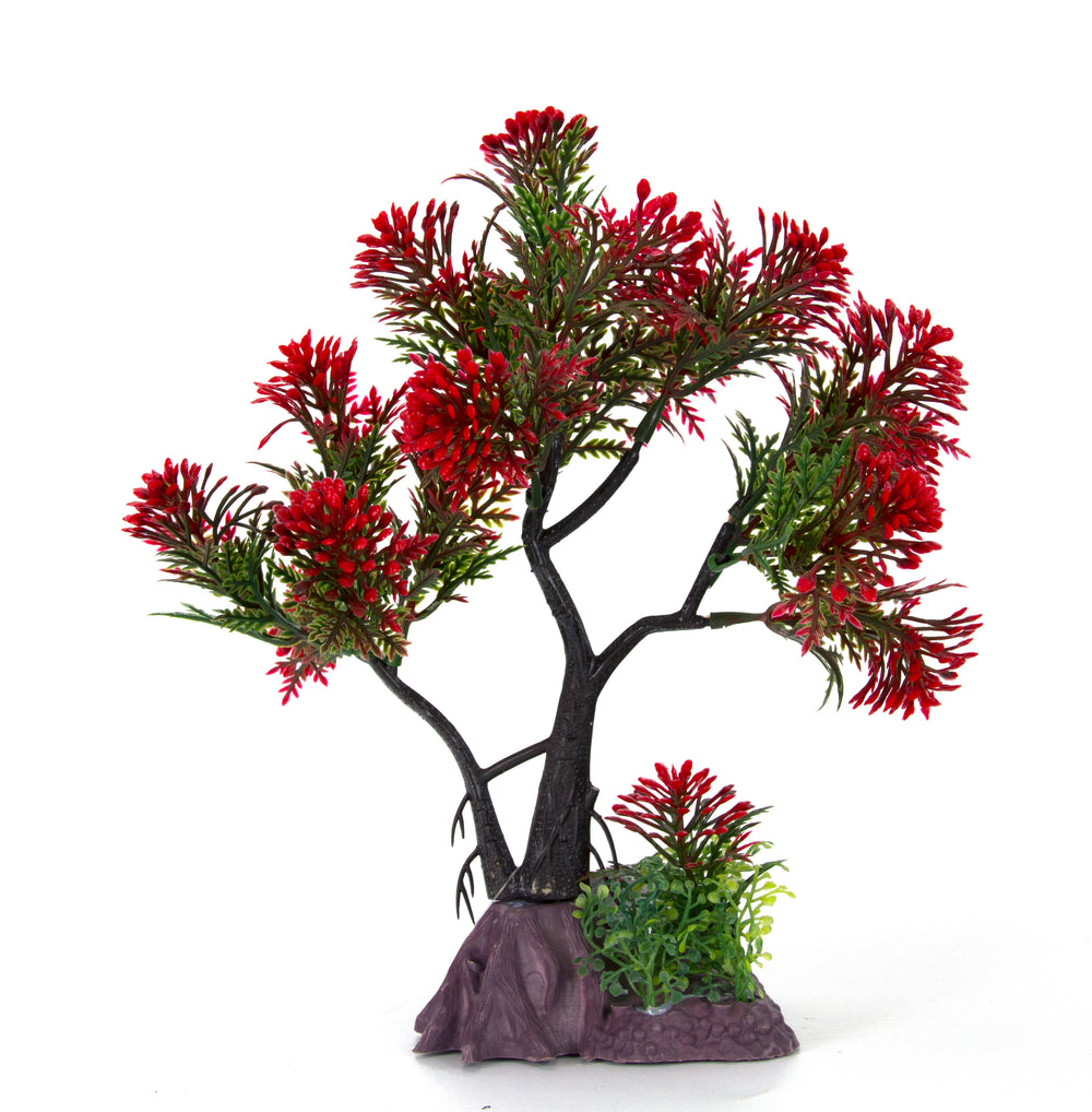 AQUA-FIT Red Pine Bonsai Plastic Plant