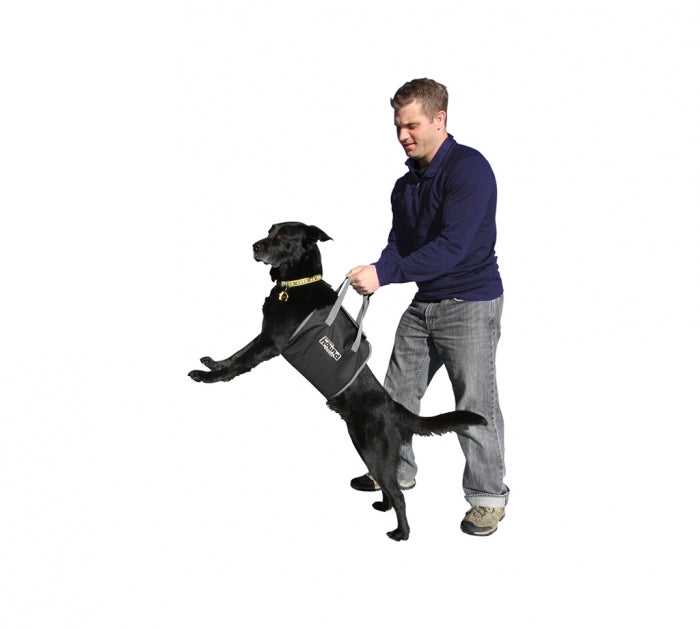 Outward Hound PupBoost Harness – Pet Circus