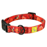 BeOneBreed Silicone Dog Collar