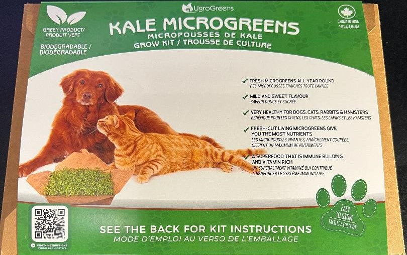 UgroGreens Kale Microgreens