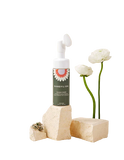 Dandylion Clean Paws No-Rinse Foaming Cleanser