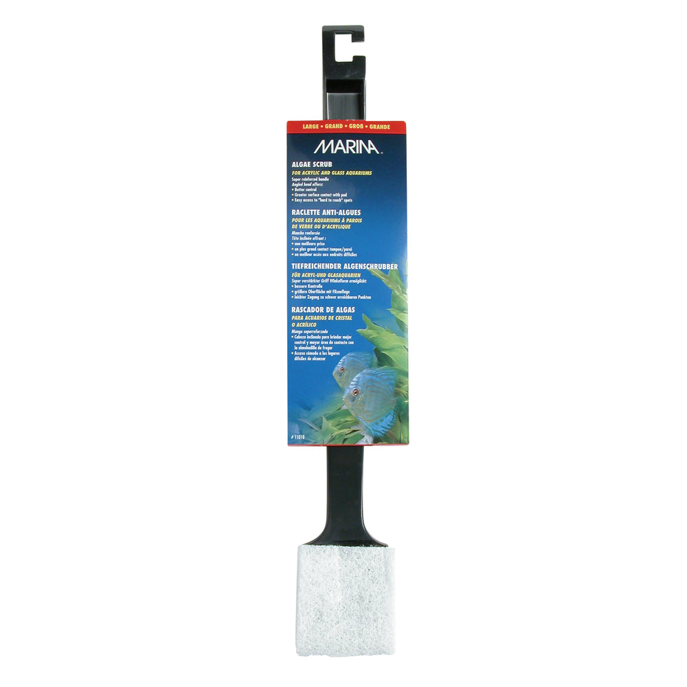 Marina Algae Scrub - Large