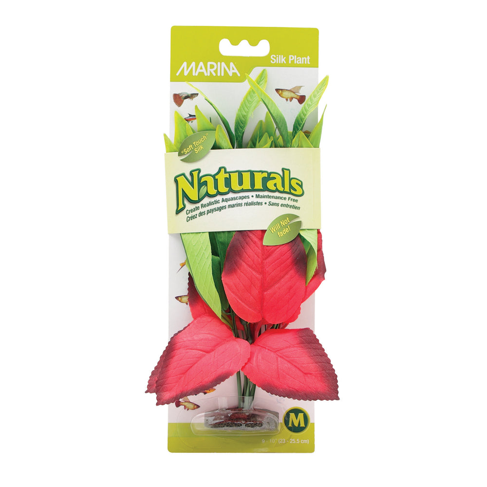 Marina Naturals Red & Green Pickerel Silk Plant - Medium