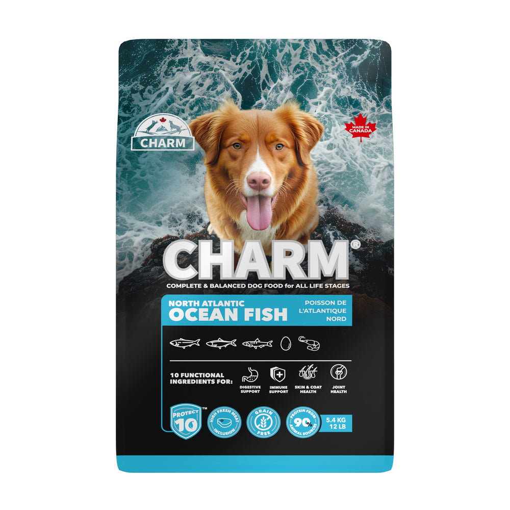 CHARM® North Atlantic Ocean Fish Dog Food
