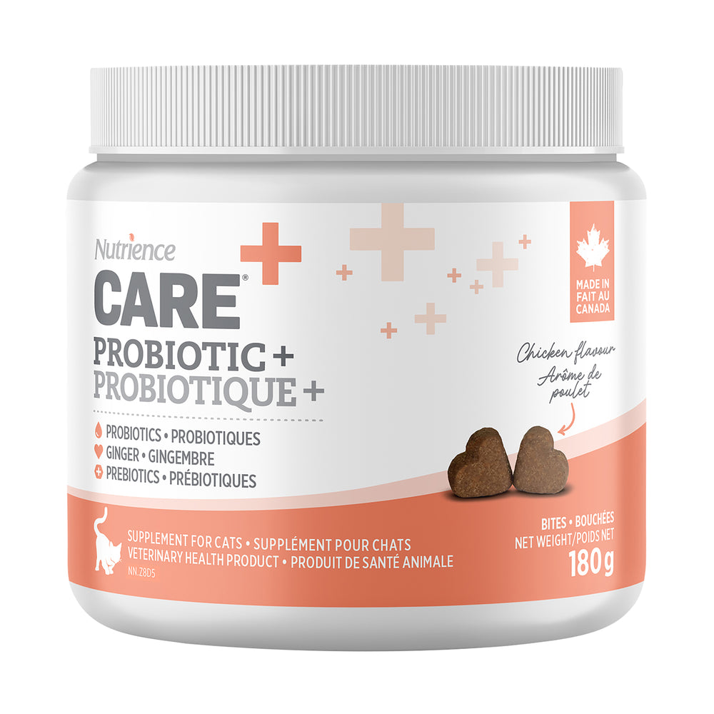 Nutrience Care Supplement for Cats - Probiotic+