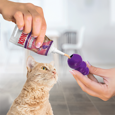Kong® Mousse Salmon Cat Treat