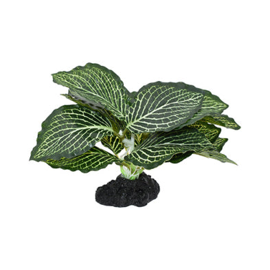 Komodo® Standing Vein 4" Decorative Plant