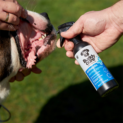 Buddycare™ Antiseptic Dental Spray - Suitable for All Pets