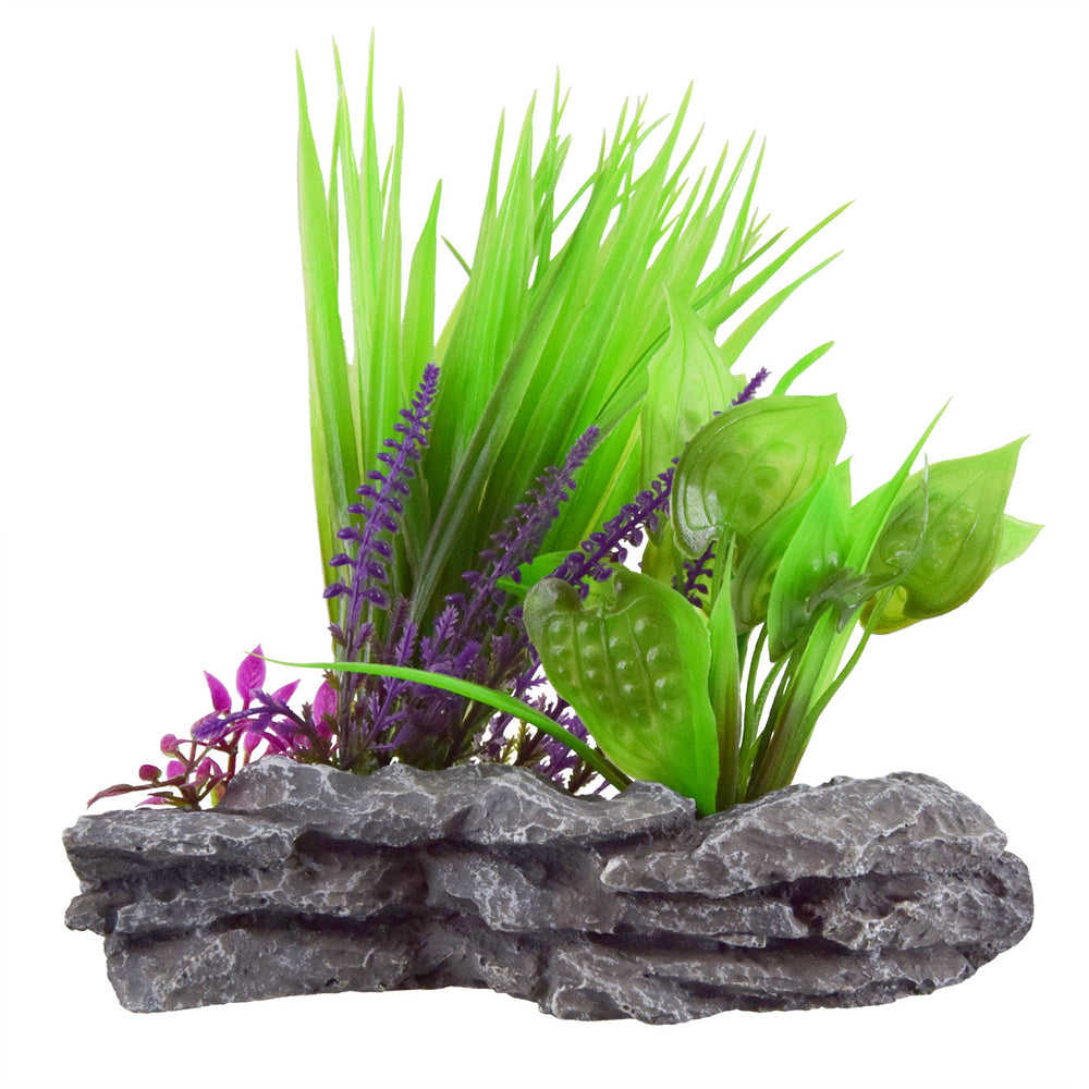 U.T. Sagittaria Mound