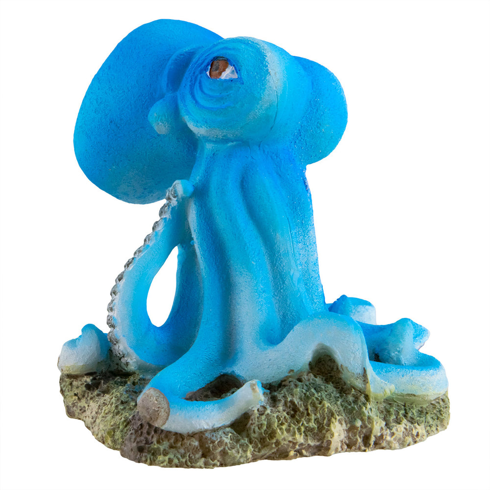 U.T. Blue Octopus