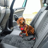 KONG Travel Seat Belt Tether