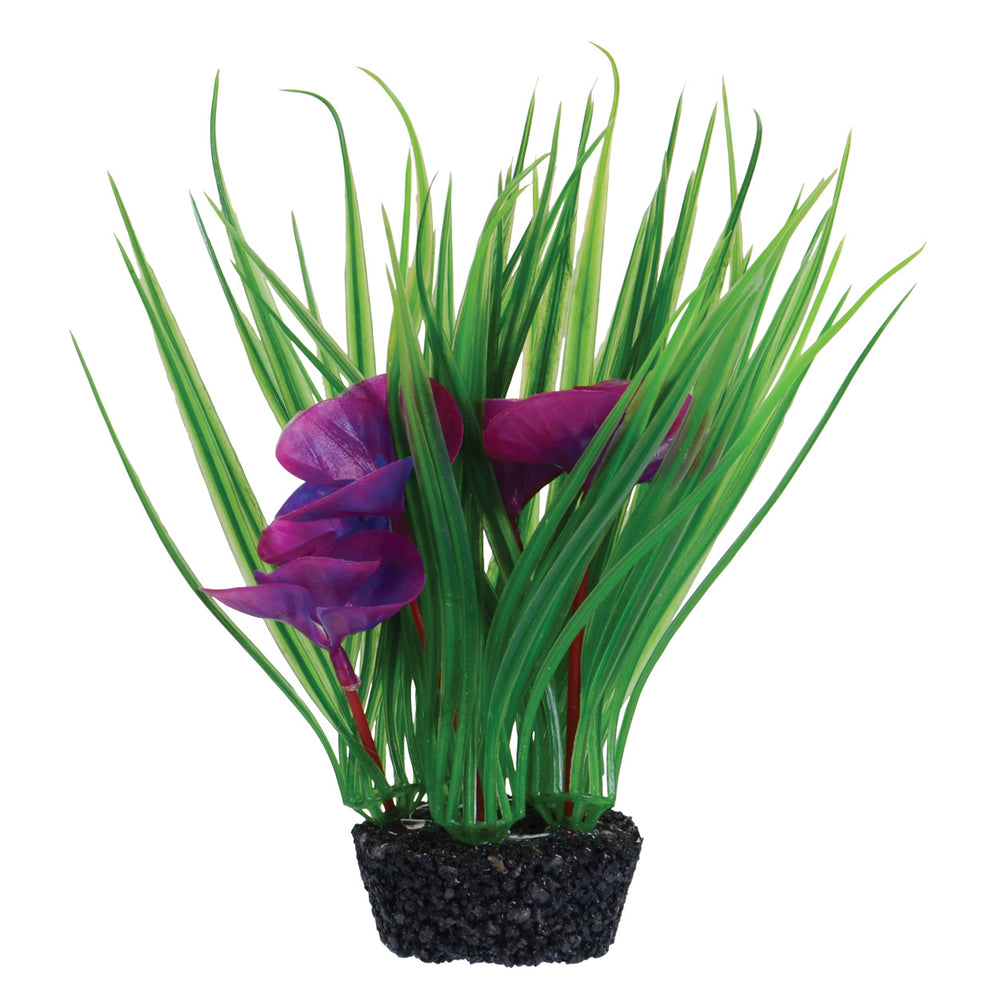 U.T. Luna Lily Bush - Purple