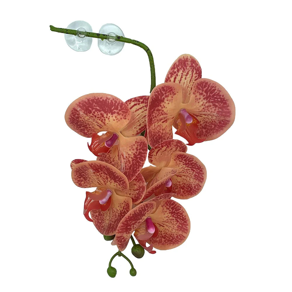 Pangea Hanging Orchid - Orange / Yellow